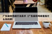 广东麻将鸡胡打法高手（广东麻将鸡胡是指什么样的牌）