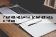 广东麻将王炸组合叫什么（广东麻将王炸组合叫什么来着）