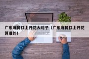 广东麻将杠上开花大对子（广东麻将杠上开花算谁的）