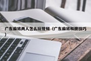 广东麻将两人怎么玩视频（广东麻将和牌技巧）