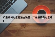 广东麻将七星打法口诀图（广东麻将有七星吗）