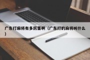 广东打麻将有多厉害啊（广东打的麻将叫什么）