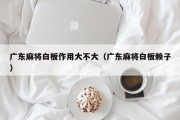 广东麻将白板作用大不大（广东麻将白板赖子）