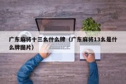 广东麻将十三幺什么牌（广东麻将13幺是什么牌图片）