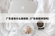 广东省有什么麻将机（广东有麻将馆吗）