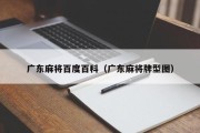 广东麻将百度百科（广东麻将牌型图）