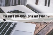 广东麻将字牌如何用的（广东麻将字牌有什么用）