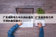 广东麻将有几种不同的番型（广东麻将有几种不同的番型图片）