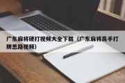 广东麻将硬打视频大全下载（广东麻将高手打牌思路视频）