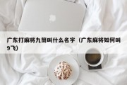 广东打麻将九筒叫什么名字（广东麻将如何叫9飞）